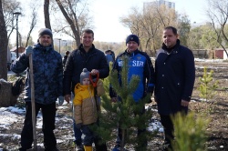 Аллея отцов появилась в Барнауле