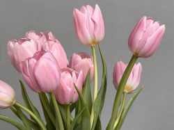 Галина Буевич поздравляет с Международным женским днем