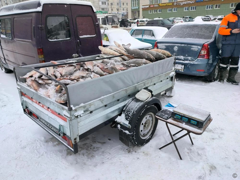 В АКЗС обсудят предложение Барнаульской Думы по увеличению штрафов за незаконную нестационарную торговлю