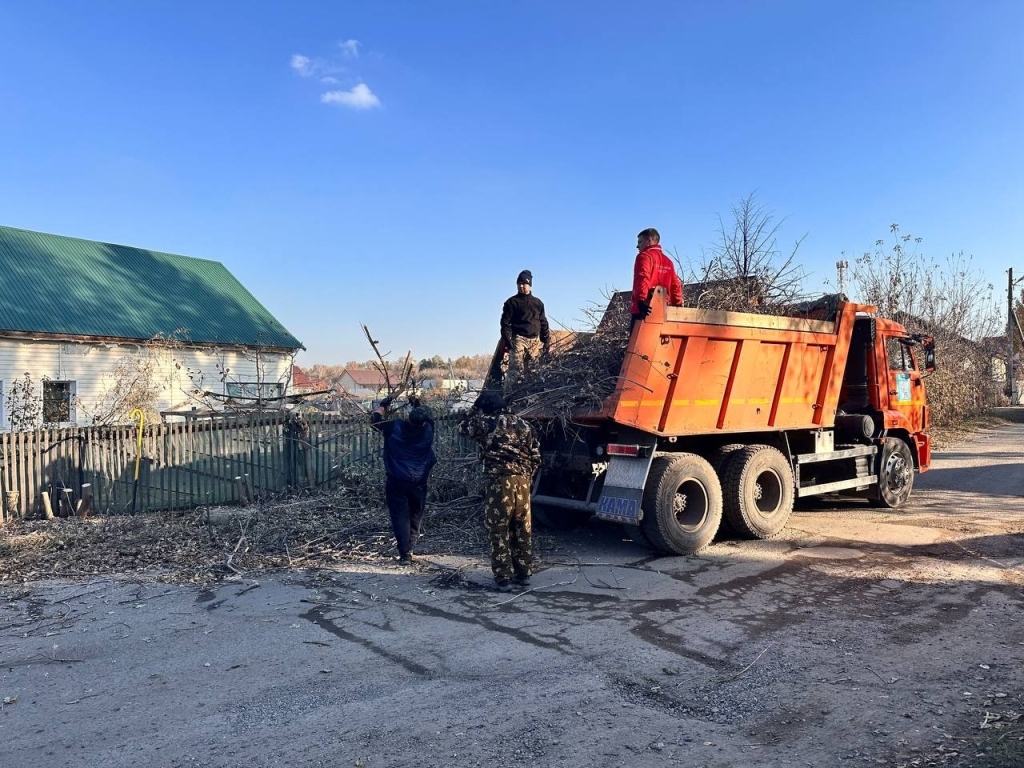 ягодное авкопашвили.jpg