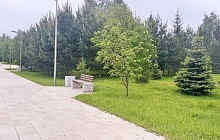 Депутаты Барнаульской городской Думы оценили работу муниципального парка города