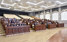 В 2026 году в Барнауле заключено 10 контрактов на проведение антикомариной и противоклещевой обработок