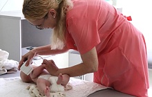 «Двойная ответственность»: рассказываем о профессиональных успехах депутатов БГД за пределами залов заседаний